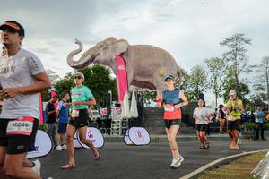 BIB: 
                            <button type="button" onclick="openModal(26528347)" class="btn btn-primary btn-sm float-right btn-popup" data-toggle="modal" data-target=".modal-high-quality">
                        <i class="fas fa-shopping-cart"></i> Add to Cart
                    </button>
                                            <button type="button" onclick="isThisMe(26528347, true)" class="btn btn-success btn-sm float-right btn-popup btn-isme hidden" data-toggle="tooltip" data-placement="bottom" title="นี่คือรูปของคุณใช่ไหม คลิกที่นี่เพื่อเอาเข้าอัลบั้ม">
                        <i class="fas fa-plus"></i> Add to album
                    </button>
                    <button type="button" onclick="isThisMe(26528347, false)" class="btn btn-warning btn-sm float-right btn-popup btn-isnotme hidden">
                        <i class="fas fa-ban"></i> Remove from album
                    </button>